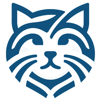 «Blank Canvas» website constructor